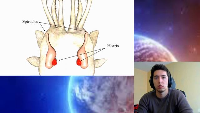 Alien Biospheres Part 4 The Invasion of Land By Biblaridion Reaction смотреть онлайн