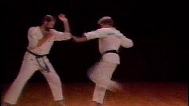 Ашихара Каратэ - базовая техника. смотреть онлайн