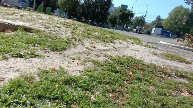 Белый кролик кушает морковь смотреть онлайн