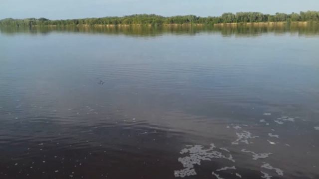 Елатьма. Пляж. Плывёт уж смотреть онлайн