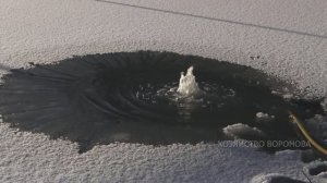 Кислород для рыбы в пруду зимой. Запустил компрессор