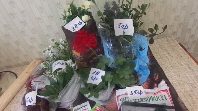 Наконец,я нашла его...помощника на дачу!!!Мои приобретения.... смотреть онлайн