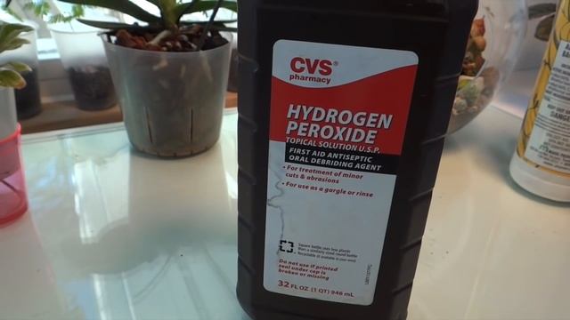 ОРХИДЕИ Средства против Гнили-Альтернатива ДОРОГИМ препаратам смотреть онлайн