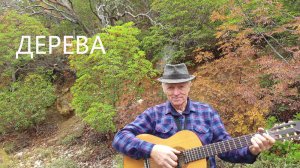 Дерева  Песня Евгения Бачурина