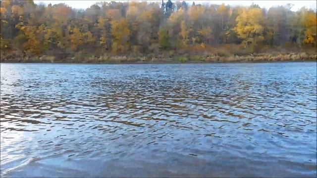 Что такое профайлинг. Криминальный, гендерный профайлинг смотреть онлайн