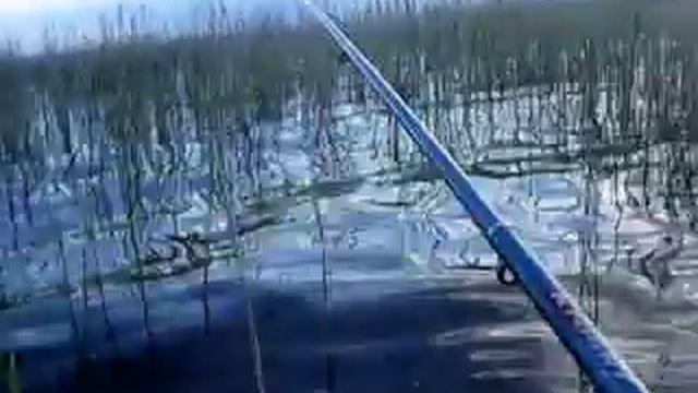 Рыбалка в Крутинке смотреть онлайн