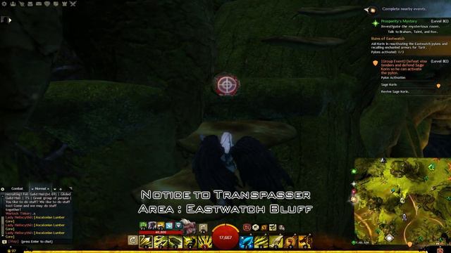 Guild Wars 2 : Auric Basin Hero Points Guide смотреть онлайн
