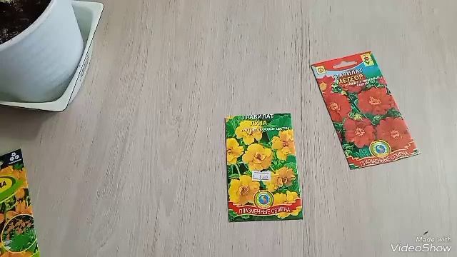 Посев лучших многолетников,как украшение и защита от сорняков смотреть онлайн