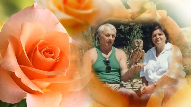 С днем рождения, Надежда! смотреть онлайн