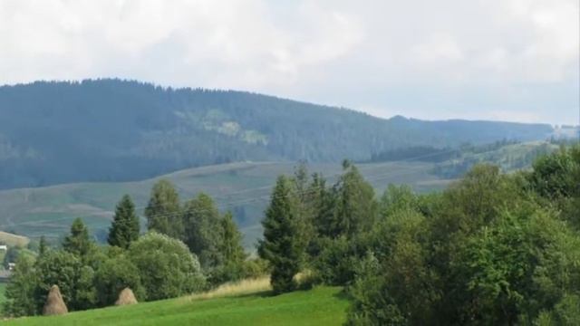 Вольная птица.wmv смотреть онлайн