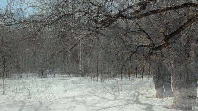 "ФАНТАЗИЯ НА РУССКУЮ ТЕМУ"... (Фото Вл. Шошина (Владимир) - Русский Народный Оркестр им. Осипова) смотреть онлайн