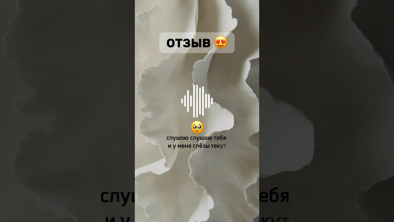 14 августа 2024 г. смотреть онлайн