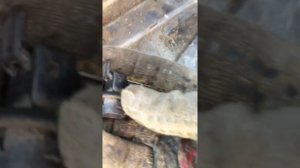 Снятие крепежных крюков в багажнике бмв е34