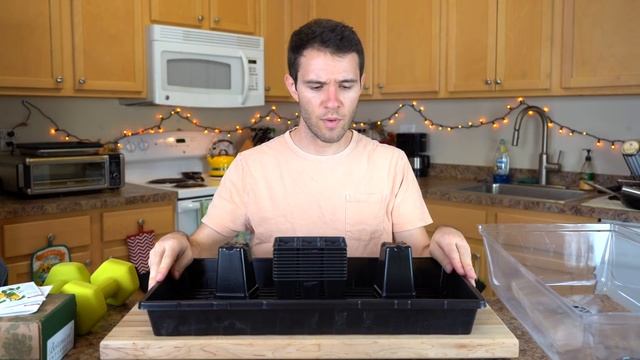 Germinating Pepper Seeds FAST - How To Plant Pepper Seeds смотреть онлайн