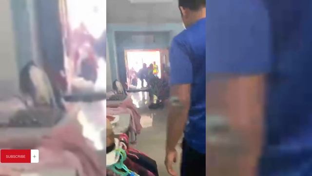 Unbelievable! Giant Python Snakes Found on House Ceiling Full Video ?? #rescue смотреть онлайн