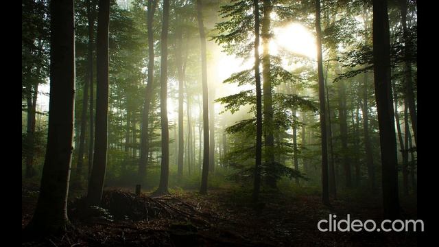 Расслабляющая,спокойная музыка для снятия стресса,раздражительности. смотреть онлайн
