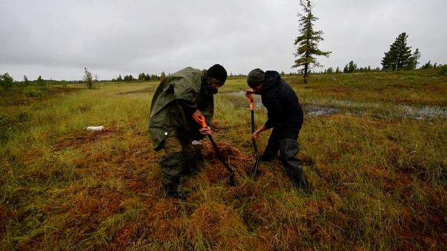Извлечение монолита верхних горизонтов из переувлажненных почв смотреть онлайн