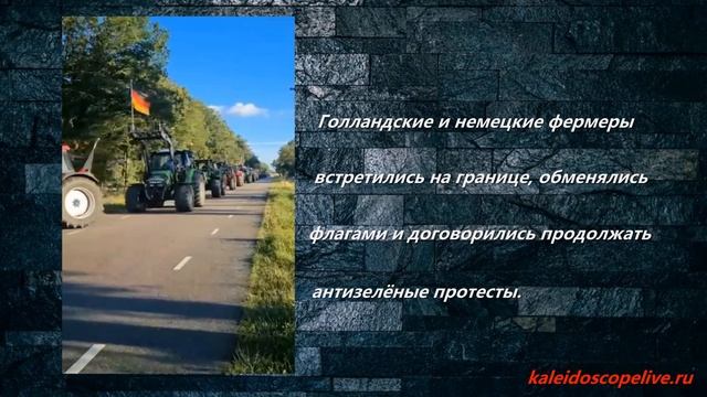 Голландские и немецкие фермеры встретились на границе смотреть онлайн