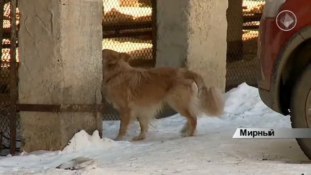 Городские цветы смотреть онлайн