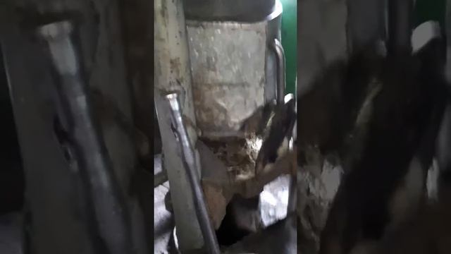 Как делают подсолнечное масло смотреть онлайн