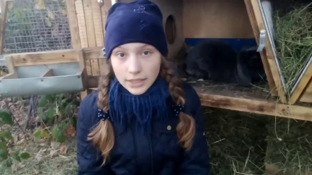 Крольчиха бросила крольчат. Что делать. Как подросли крольчата Глории. смотреть онлайн