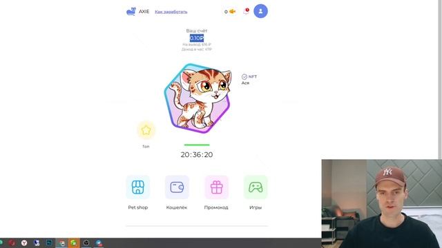 ₽₽₽ Выносим AXIE Skin - вывод денег, отзывы, проверка на развод или нет - Заработок на телефоне