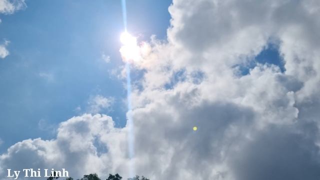 Make a kitchen to cook pig bran, take care of the pigs on the farm_ Ly Thi Linh смотреть онлайн