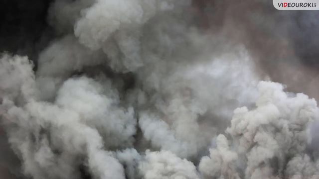 Воздействие человека на природу смотреть онлайн