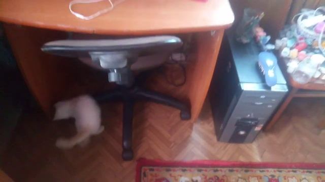 Утреннее смотреть онлайн
