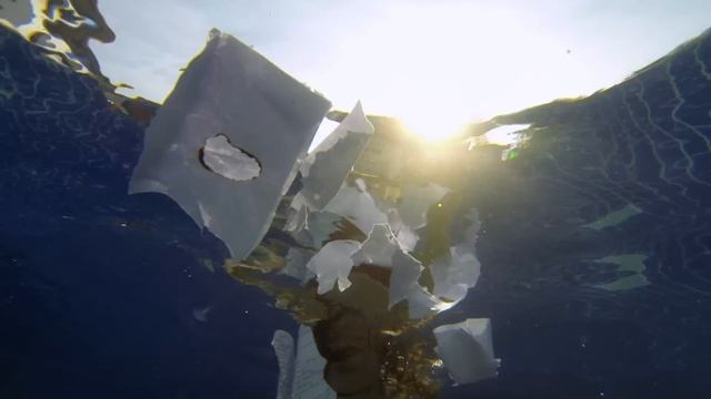 Ольга Арефьева и Ковчег "Асимметрия" смотреть онлайн