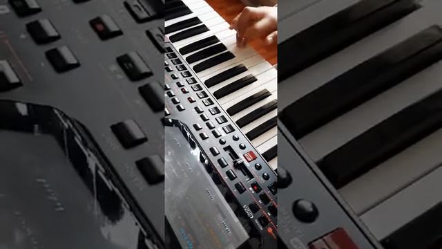 Karo Hayrapetyan . tonakan par//Zaven Avdalyan// смотреть онлайн