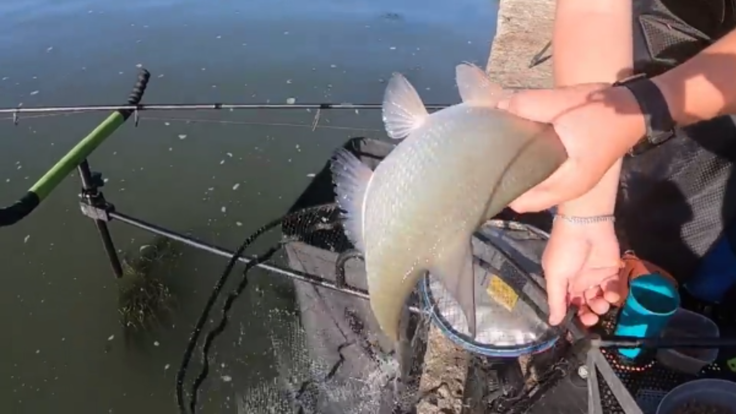 ЭЛЬДОРАДО ПО ЛЕЩУ. АКСАЙСКИЕ ПЛИТЫ. ОТЛИЧНЫЙ ОТДЫХ И РЫБАЛКА В КРУГУ ДРУЗЕЙ И ПОДПИСЧИКОВ. смотреть онлайн