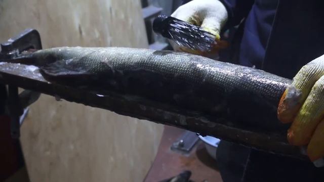 Как быстро и легко почистить рыбу ? // How to clean fish quickly and easily ? смотреть онлайн