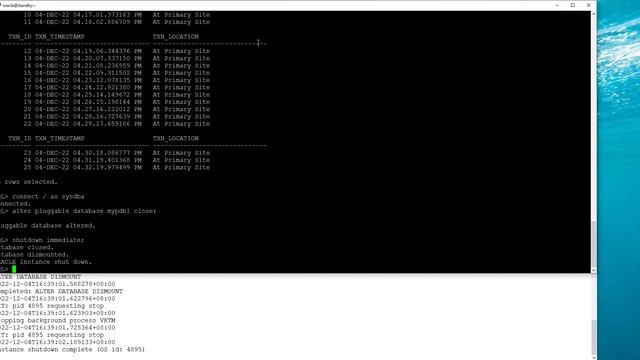 Open Standby Database for Querying смотреть онлайн