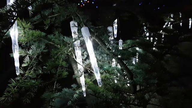 Winter light festival.Lafcadio Hearn Japanese Gardens.Японский Сад. Фестиваль света смотреть онлайн