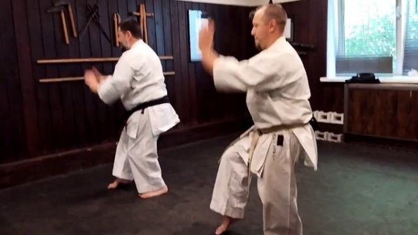 Haffa 白鳥 kata from master Go kenki Wu Xiangui Hakakuken style (Hakutsuru) Sensei Totibadze