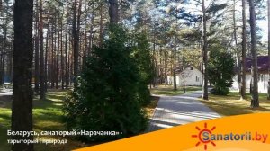 Санаторий Нарочанка - территория и природа, Санатории Беларуси