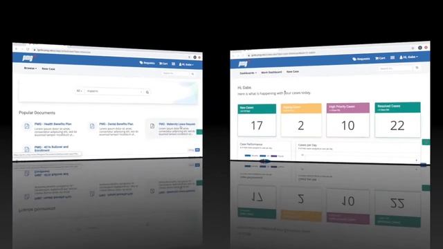 PMG HR Case Management смотреть онлайн