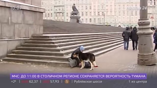 Как Мигранты попадают в рабство в Москве 2017 смотреть онлайн