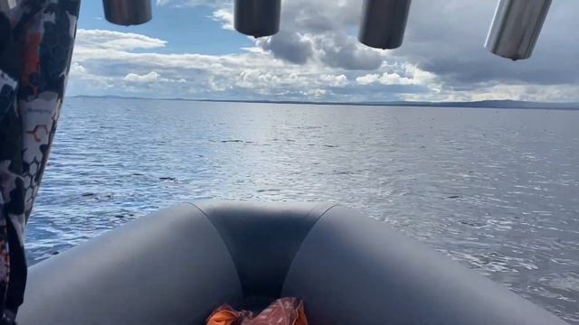 ПЯОЗЕРО 2022 г. Отдых, рыбалка. смотреть онлайн