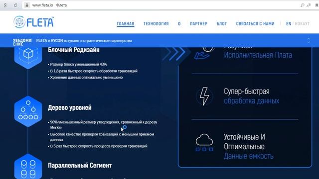 Fleta ICO обзор смотреть онлайн
