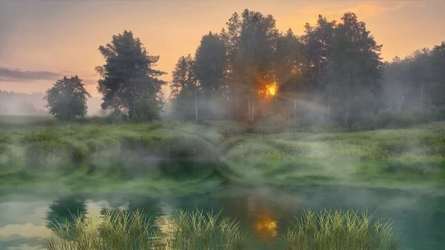 Потрясающее Пение Соловья и Хор Лесных Птиц! Пение Птиц Исцелит Ваш Организм. Приятные Звуки Природ смотреть онлайн