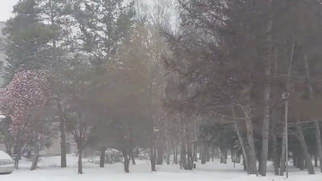 ВАСХНИЛ Новосибирск