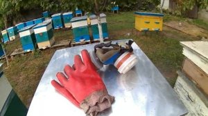 Возгонка щавелевой кислоты дым пушкой при лечении варроатоза у пчёл.