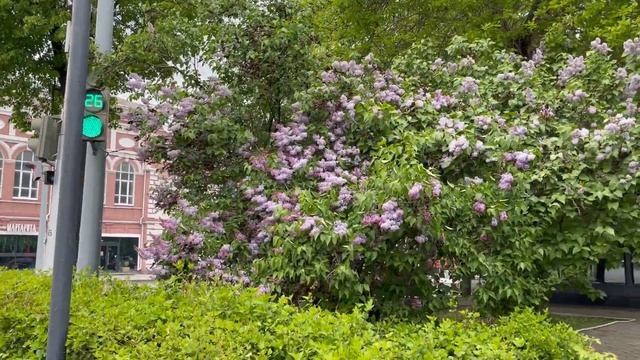 Уфа, центр города, улица Карла Маркса - Дом профсоюзов, подвел микрофон, май 2023 смотреть онлайн