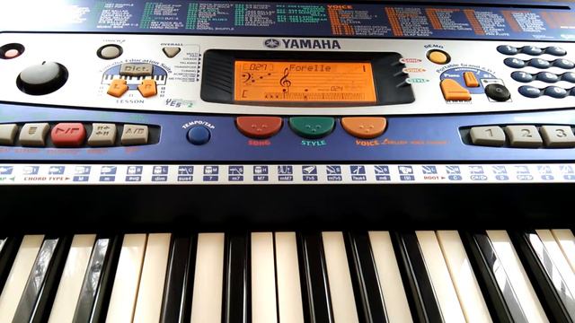 Yamaha PSR 260. Встроенные песни. Часть 6. смотреть онлайн