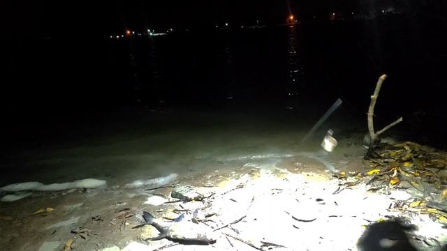 Ночная ловля ЛЕЩА на реке . Крупная рыба ловится только ночью.Рыбалка на Фидер. Лещ ПОЗДНЕЙ ОСЕНЬЮ смотреть онлайн