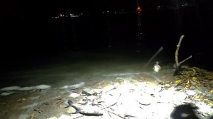 Ночная ловля ЛЕЩА на реке . Крупная рыба ловится только ночью.Рыбалка на Фидер. Лещ ПОЗДНЕЙ ОСЕНЬЮ