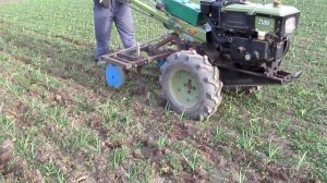 Культивация чеснока мотоблоком!