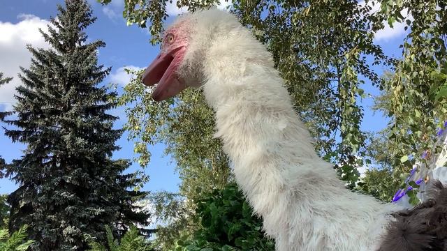 Страус смотреть онлайн